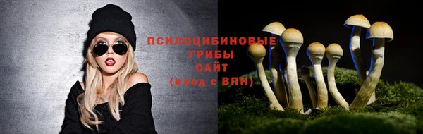 эйфоретик Лихославль
