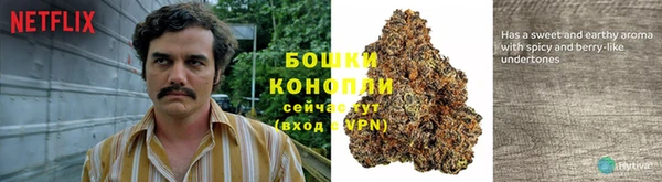 эйфоретик Лихославль